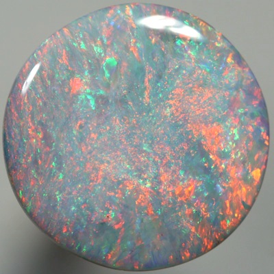 SOLID SEMI BLACK OPAL Floral Harlequin pattern, red over blue SEE VIDEO